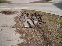 /album/fotogaleria-fotogaleria/p2270127-750-jpg/