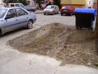 /album/fotogaleria-fotogaleria/p2270128-750-jpg/