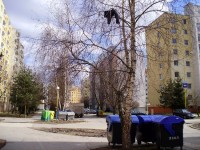 /album/fotogaleria-fotogaleria/p2270129-750-jpg/